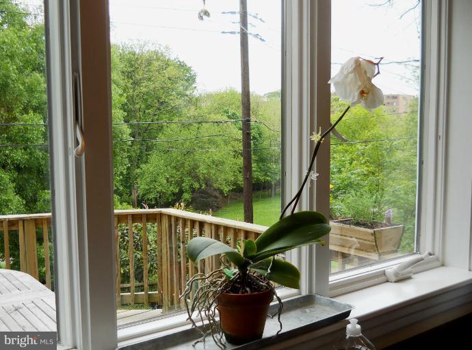 4607 Wilmslow Road Baltimore, MD 21210 - Photo 19 of 30 Green views from kitchen window