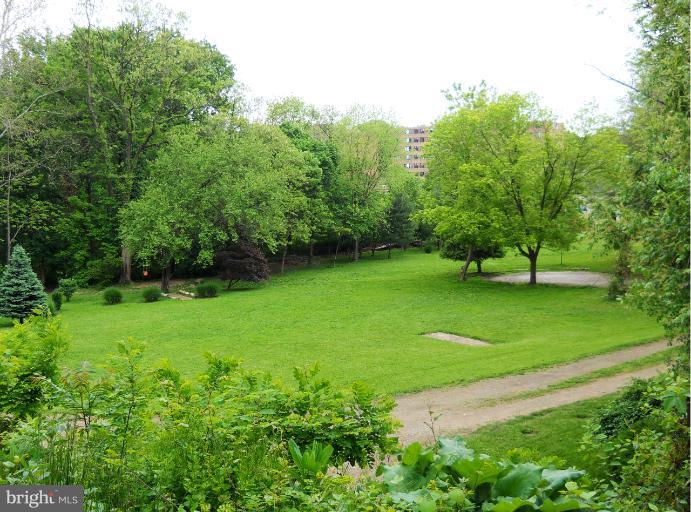 4607 Wilmslow Road Baltimore, MD 21210 - Photo 27 of 30 View of the Alpine Meadow!