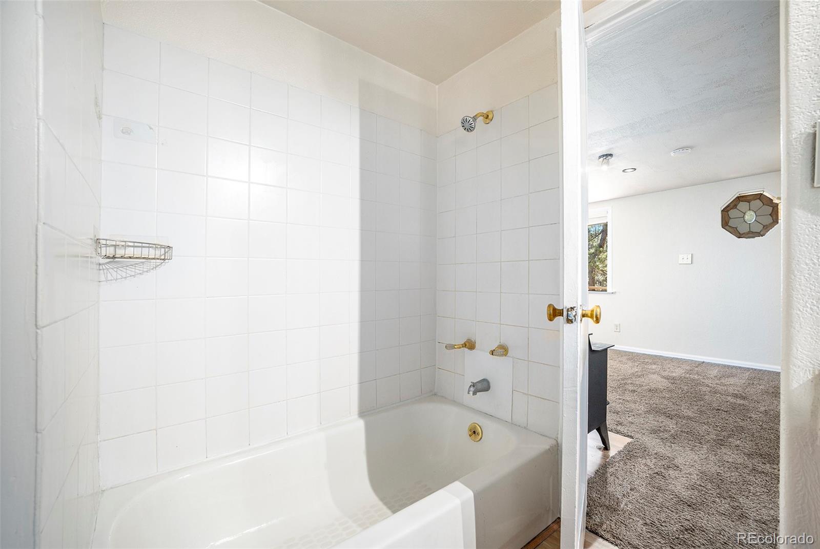 131 Paiute Road Evergreen, CO 80439 - Photo 16 of 22 Gallery Image 16