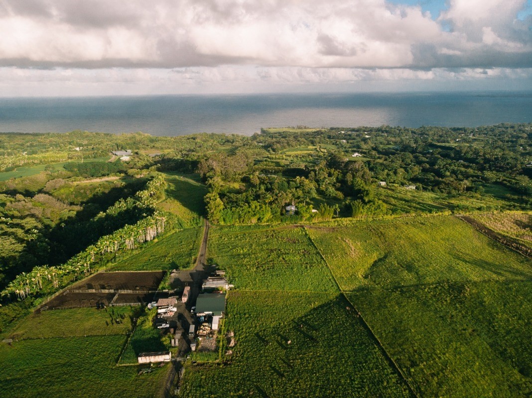 27-476 Indian Tree Road Papaikou, HI 96781 - Photo 11 of 24 a view of lake with green space