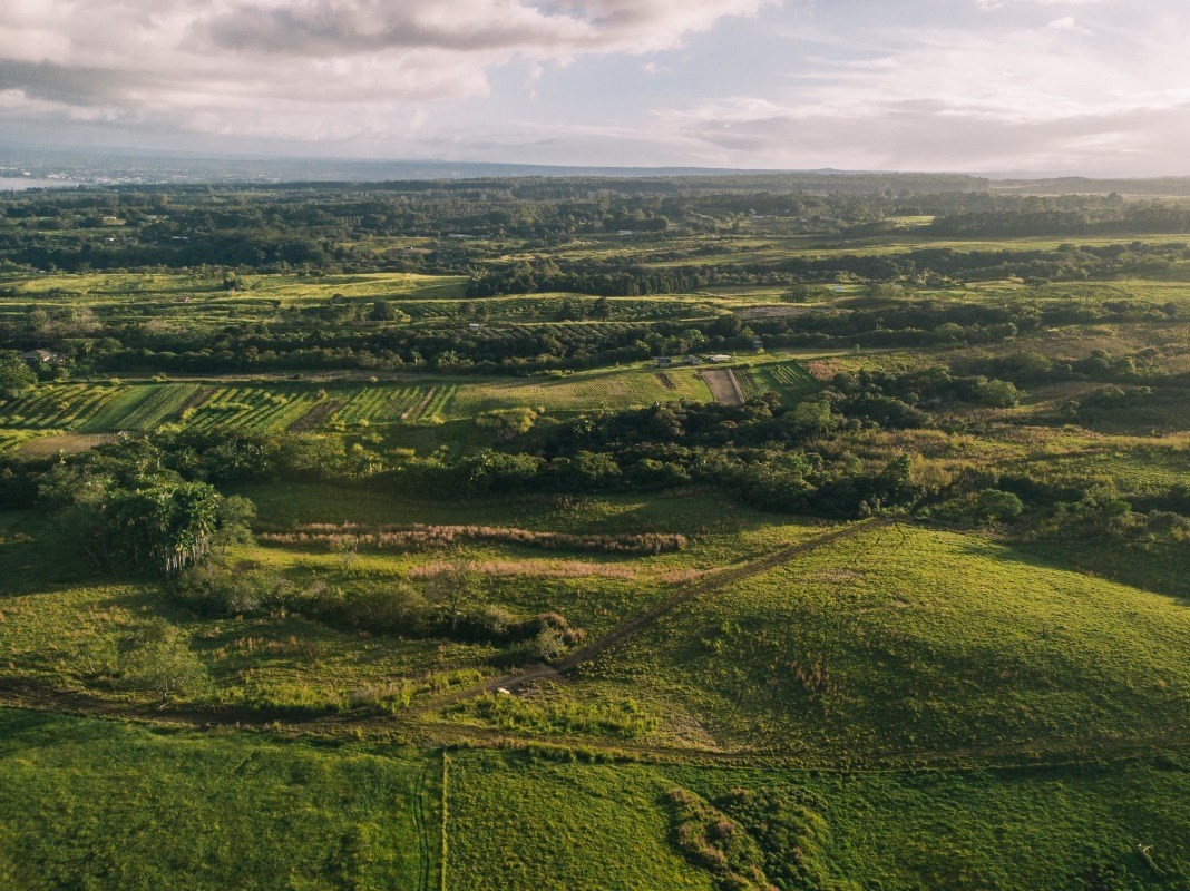 27-476 Indian Tree Road Papaikou, HI 96781 - Photo 12 of 24 a view of an ocean from a yard