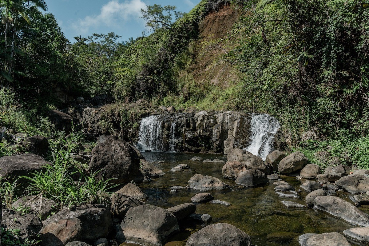 27-476 Indian Tree Road Papaikou, HI 96781 - Photo 16 of 24 a view of a street with a tree