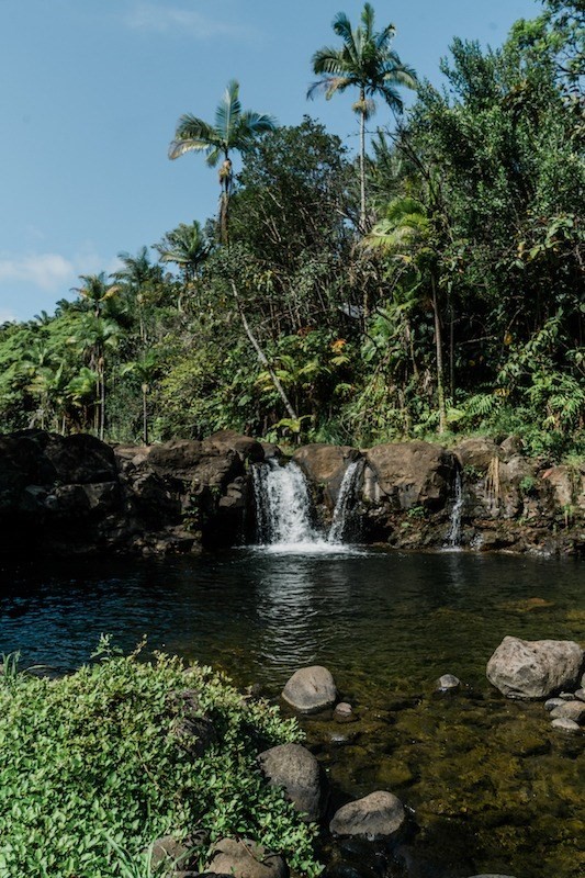 27-476 Indian Tree Road Papaikou, HI 96781 - Photo 17 of 24 a view of lake
