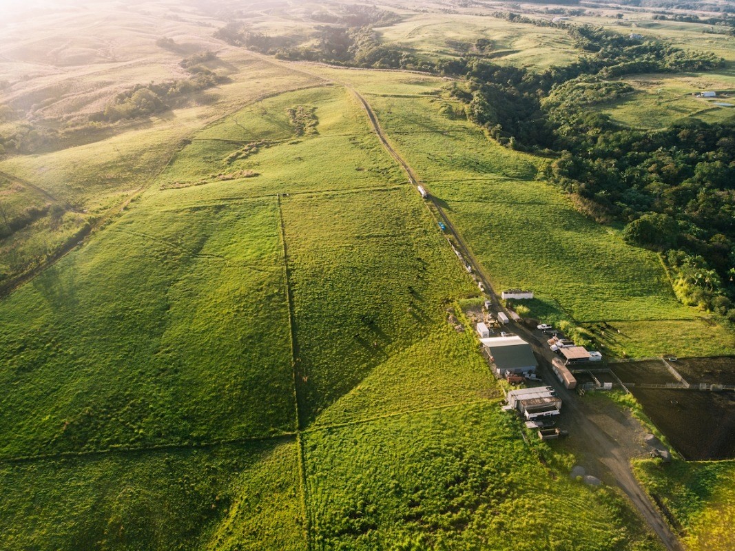 27-476 Indian Tree Road Papaikou, HI 96781 - Photo 19 of 24 a view of a lake