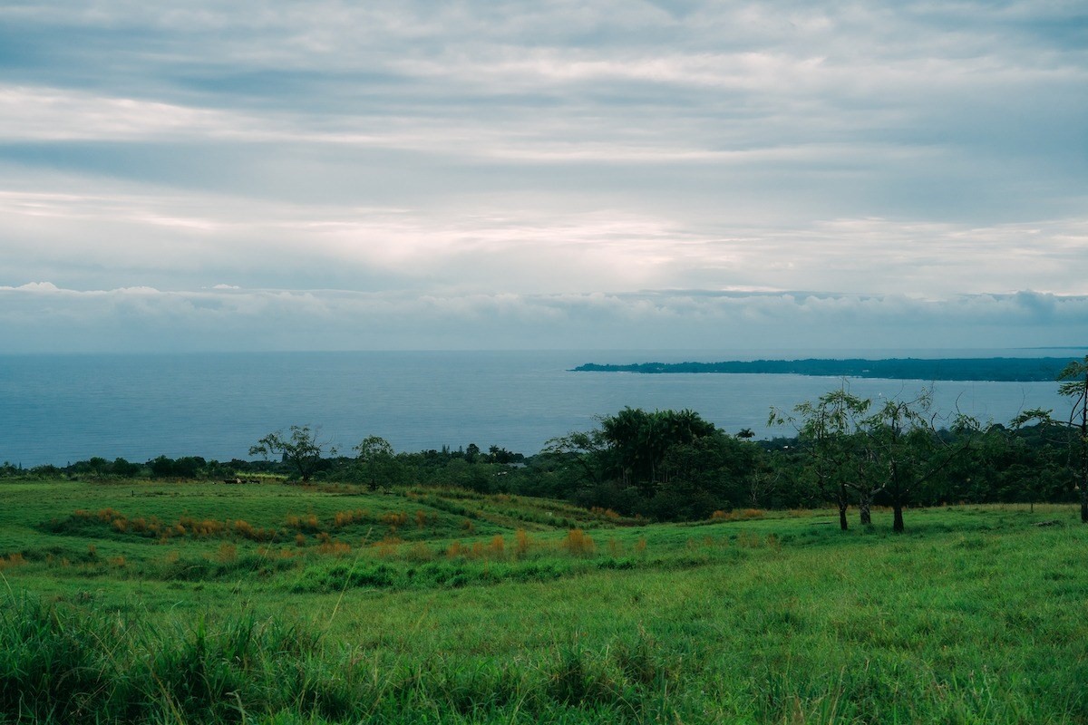 27-476 Indian Tree Road Papaikou, HI 96781 - Photo 22 of 24 a view of yard with ocean view