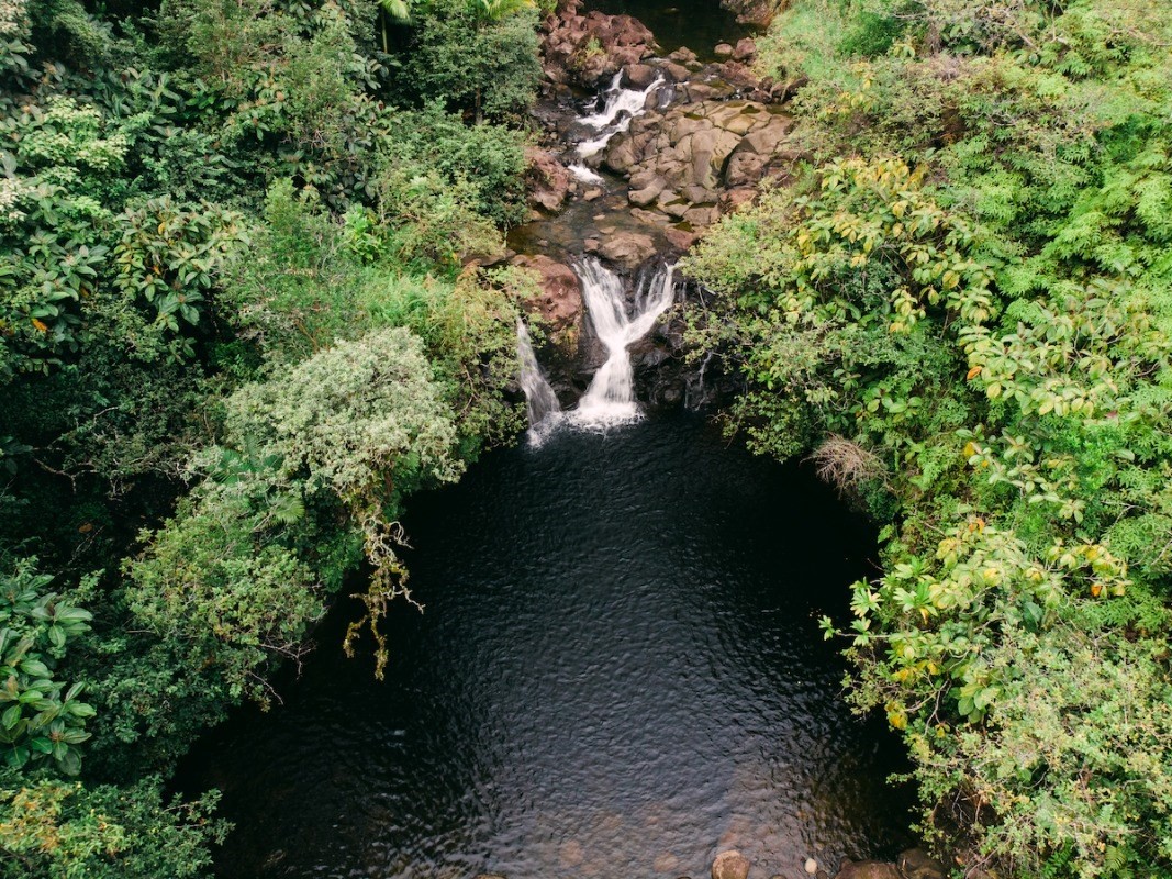 27-476 Indian Tree Road Papaikou, HI 96781 - Photo 23 of 24