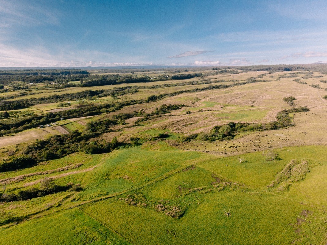 27-476 Indian Tree Road Papaikou, HI 96781 - Photo 6 of 24 a view of an ocean