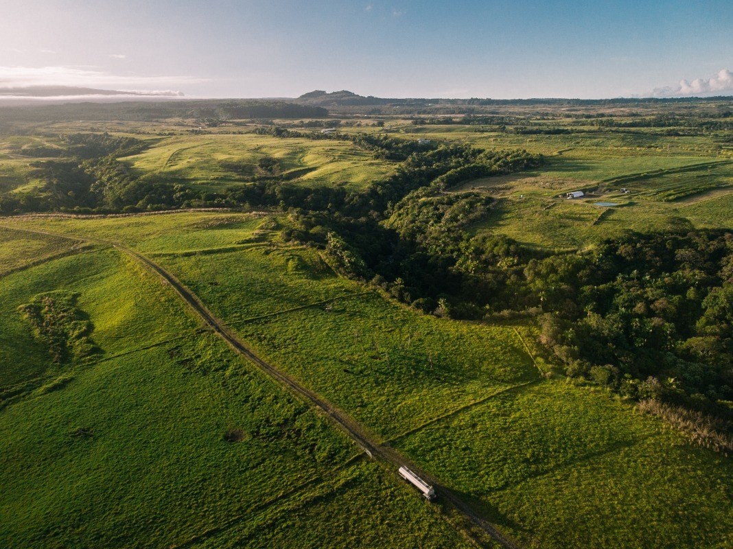 27-476 Indian Tree Road Papaikou, HI 96781 - Photo 7 of 24