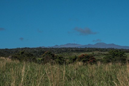 27-476 Indian Tree Road Papaikou, HI 96781 - Photo 9 of 24 a view of lake and mountain