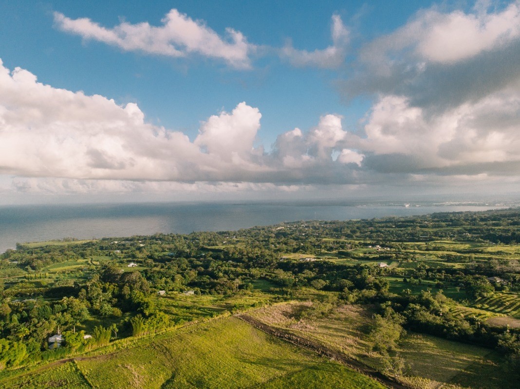 27-476 Indian Tree Road Papaikou, HI 96781 - Photo 10 of 24 a view of a lake with lots of residential buildings