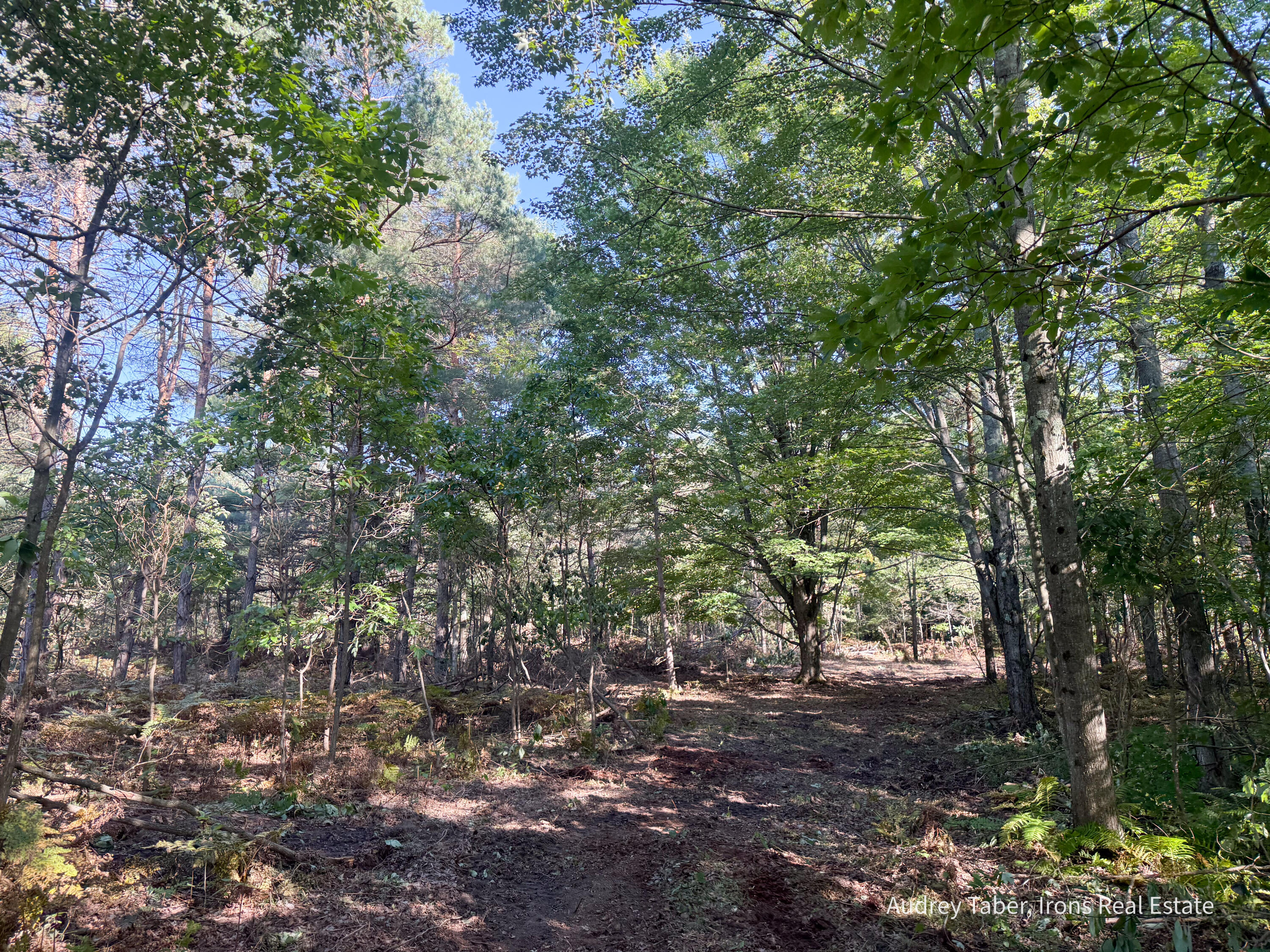 4 Clements Road Kaleva, MI 49645 - Photo 5 of 29 ClementsRd-168