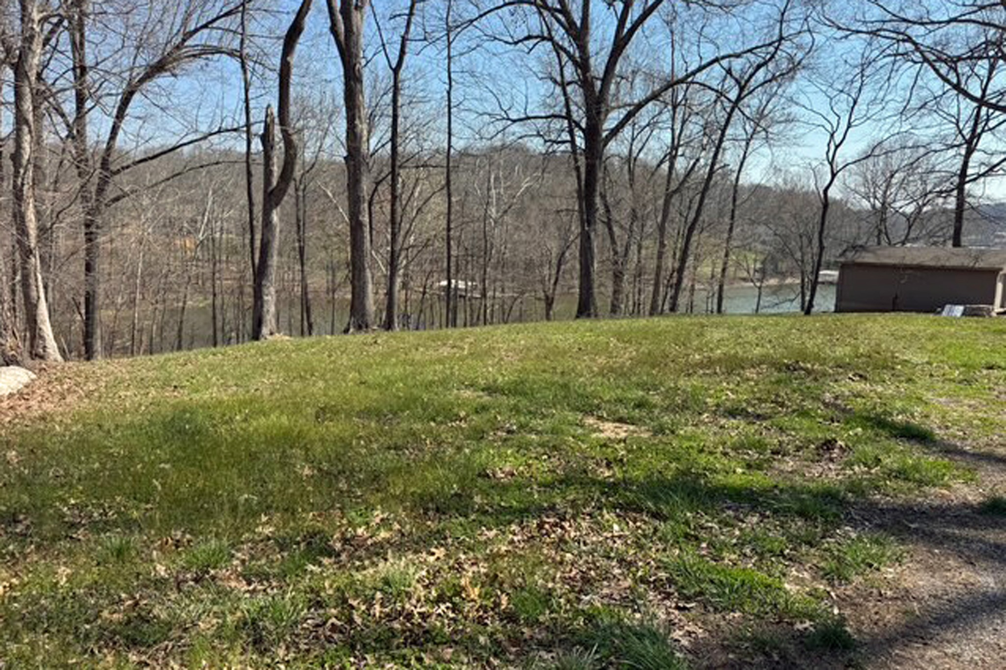 0 Null Road Eddyville, KY 42038 - Photo 8 of 16