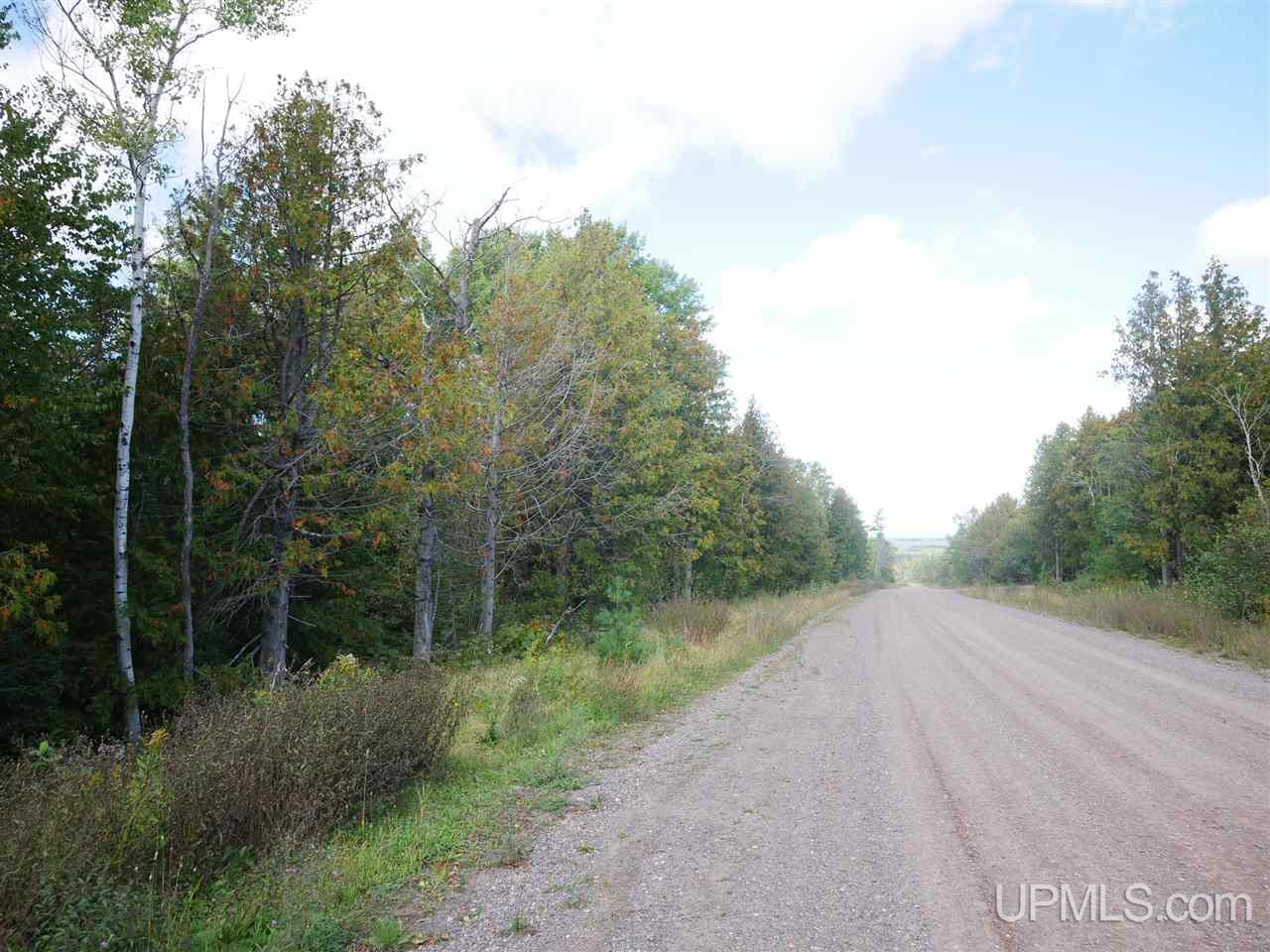 Tbd Gratiot River Road Allouez, MI 49805 - Photo 6 of 7