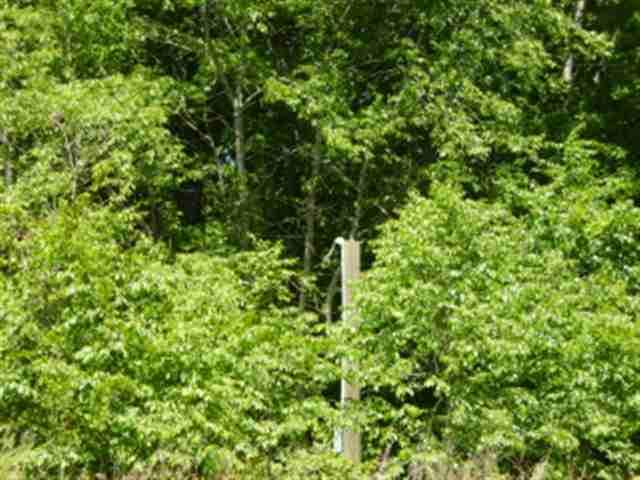 565 McElrath Road Starr, SC 29684 - Photo 19 of 20