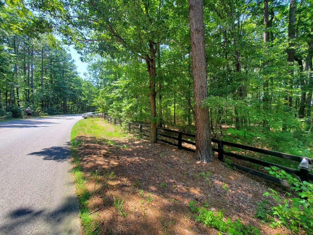 610 Wills Road, Unit 2 Blackstone, VA 23824 - Photo 9 of 23 Gallery Image 9