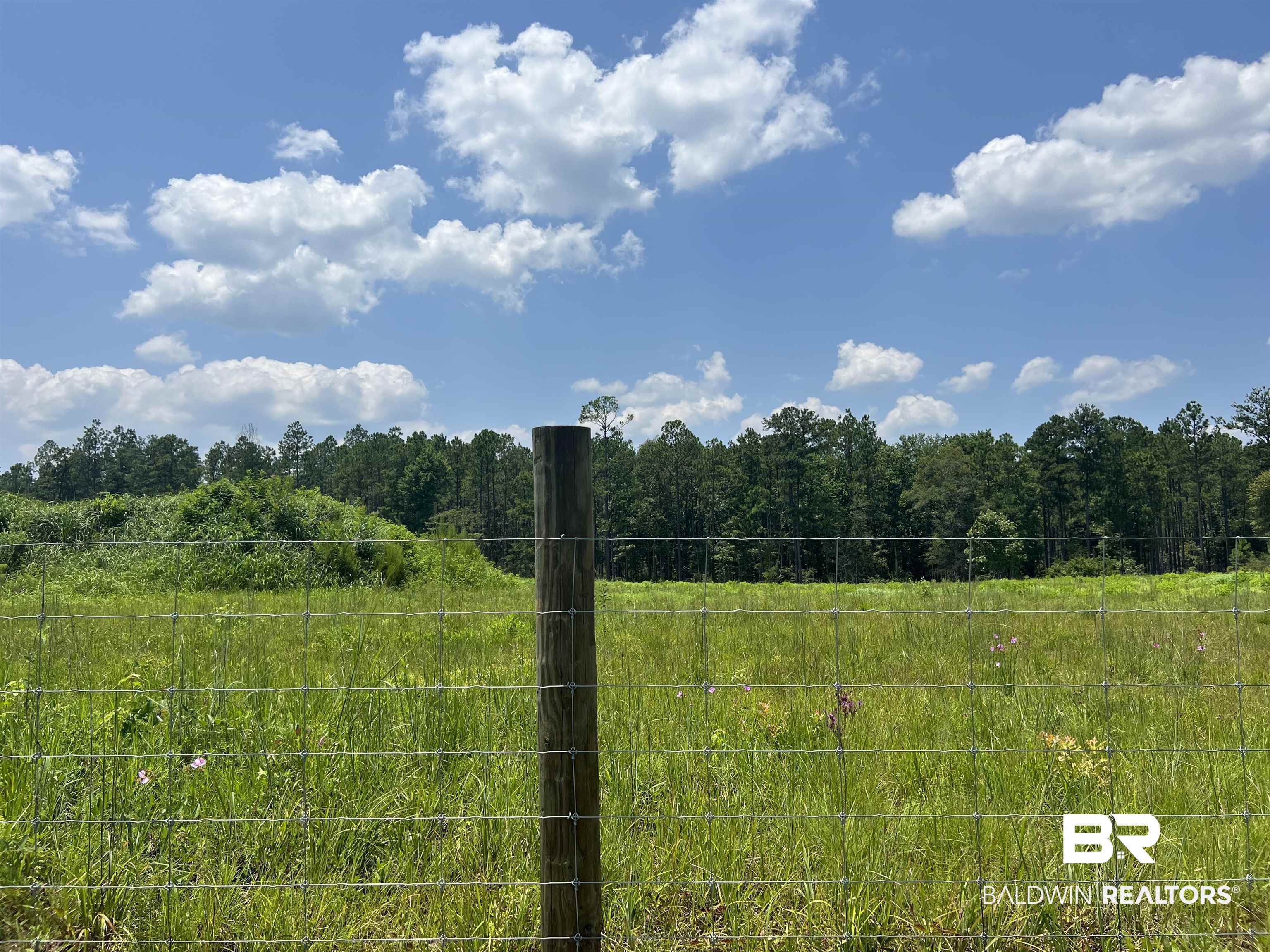 0 Beverly Jefferies Highway Citronelle, AL 36522 - Photo 3 of 19