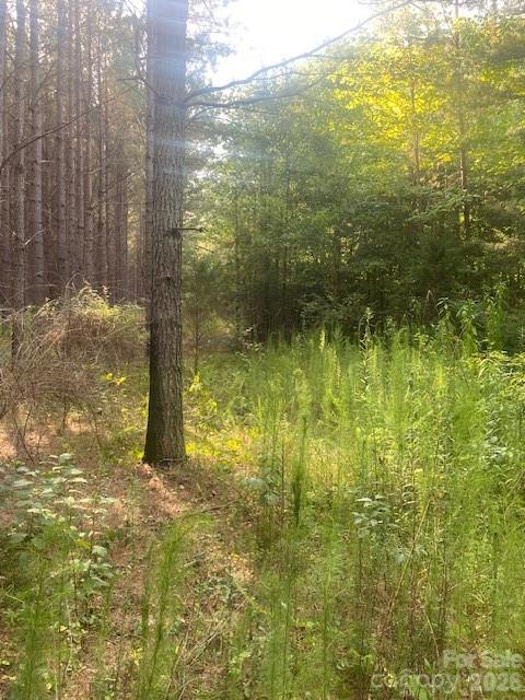 - Red Yam Farm Road Dallas, NC 28034 - Photo 5 of 22 Gallery Image 5