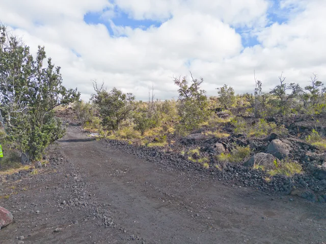 a view of a big yard with lots of bushes