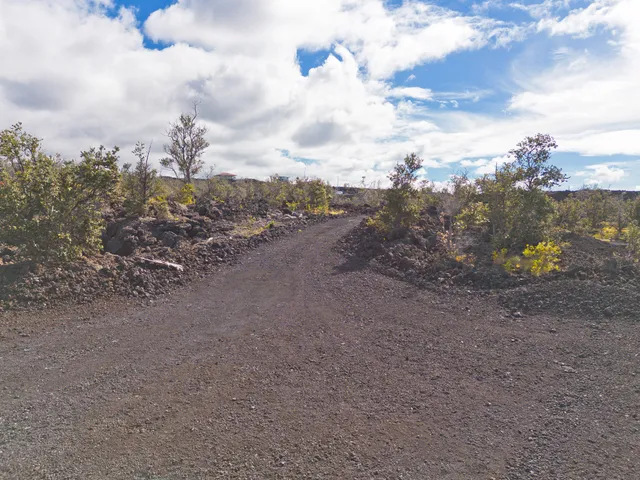 a view of a dry yard with wooden fence
