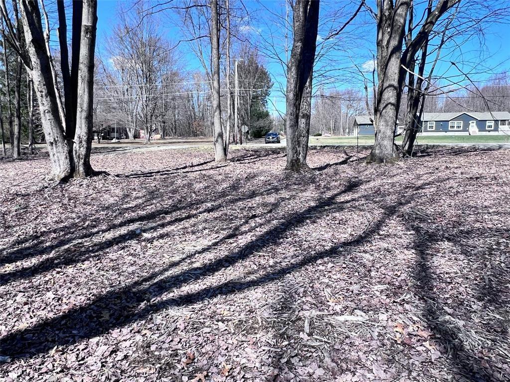 2369 Leach Road Linesville, PA 16424 - Photo 17 of 30