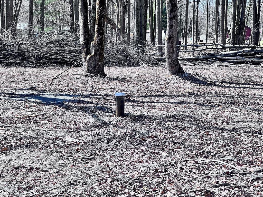 2369 Leach Road Linesville, PA 16424 - Photo 2 of 30