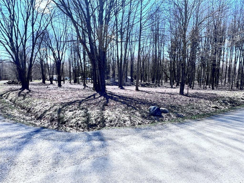 2369 Leach Road Linesville, PA 16424 - Photo 25 of 30