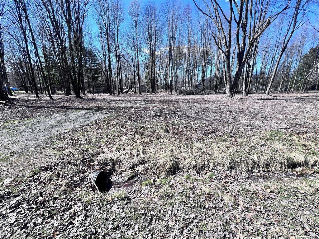 2369 Leach Road Linesville, PA 16424 - Photo 3 of 30