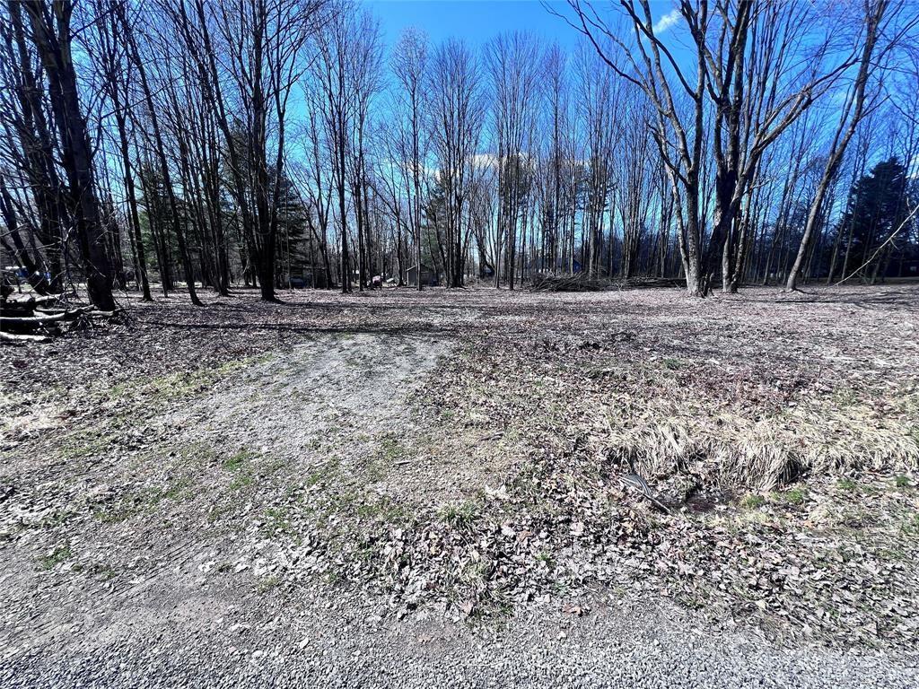 2369 Leach Road Linesville, PA 16424 - Photo 4 of 30