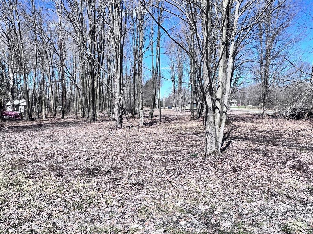 2369 Leach Road Linesville, PA 16424 - Photo 8 of 30