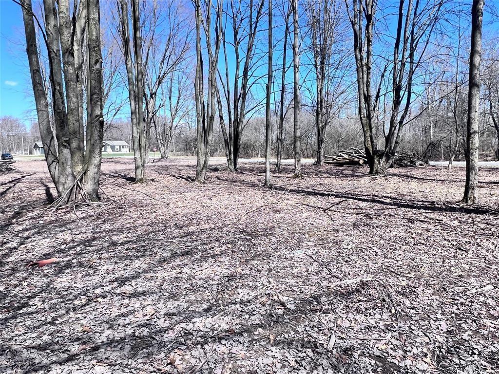 2369 Leach Road Linesville, PA 16424 - Photo 9 of 30