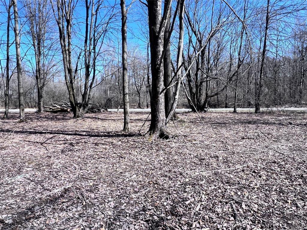 2369 Leach Road Linesville, PA 16424 - Photo 10 of 30