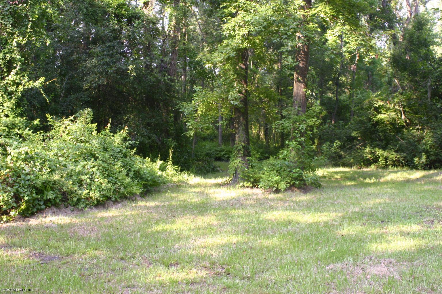 6929 Barney Road Jacksonville, FL 32219 - Photo 8 of 11 Lot View 2
