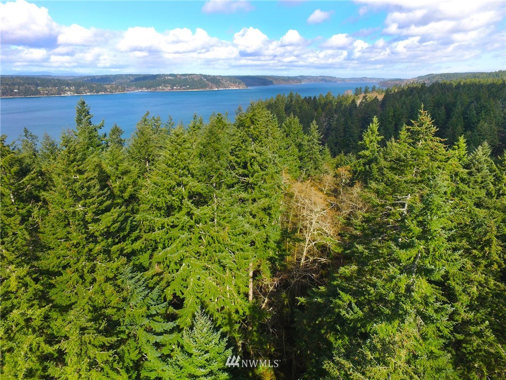 22732 Southwest Carey Road Vashon, WA 98070 - Photo 11 of 16