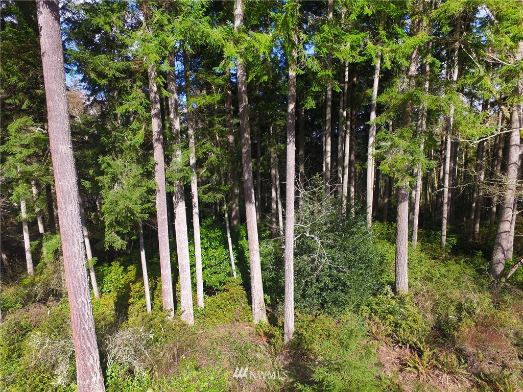 22732 Southwest Carey Road Vashon, WA 98070 - Photo 12 of 16