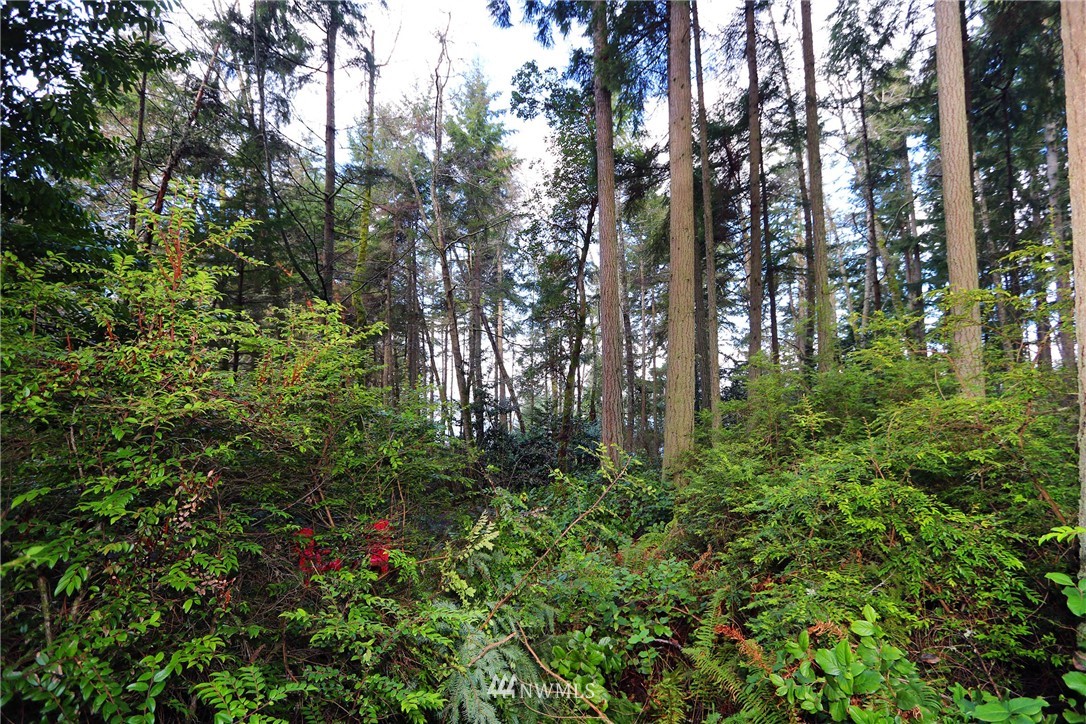 22732 Southwest Carey Road Vashon, WA 98070 - Photo 13 of 16