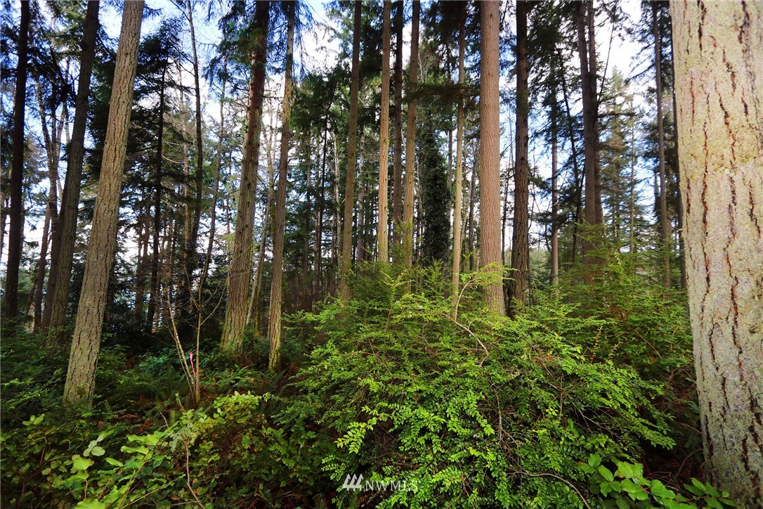 22732 Southwest Carey Road Vashon, WA 98070 - Photo 14 of 16