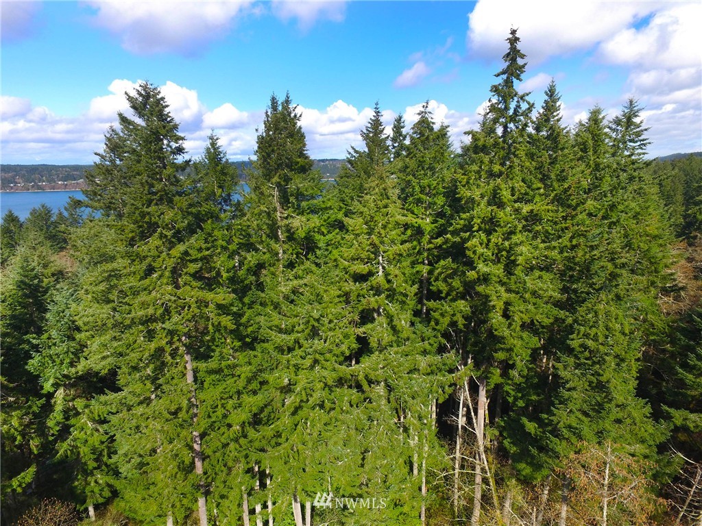 22732 Southwest Carey Road Vashon, WA 98070 - Photo 15 of 16