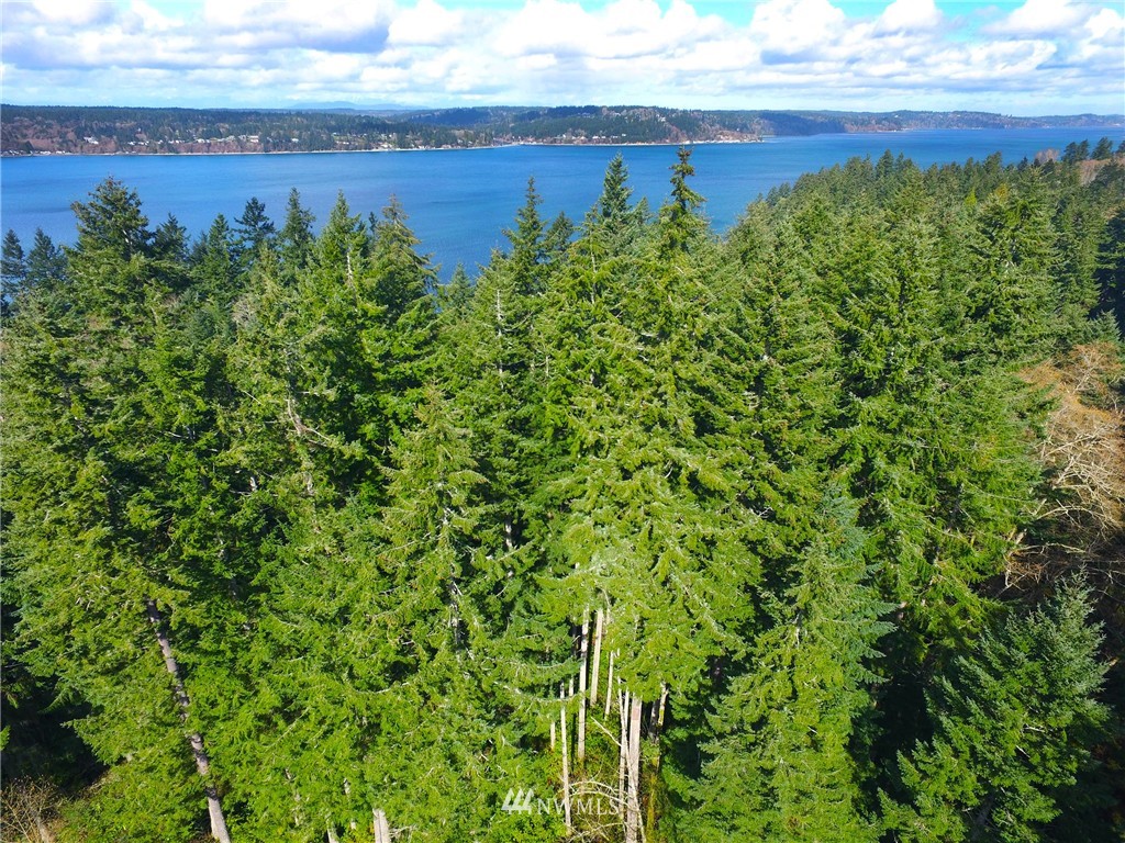 22732 Southwest Carey Road Vashon, WA 98070 - Photo 16 of 16