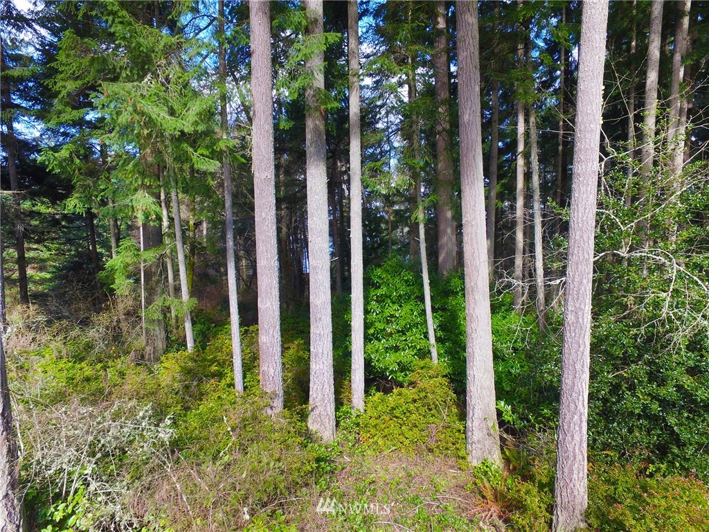 22732 Southwest Carey Road Vashon, WA 98070 - Photo 3 of 16