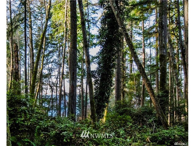 22732 Southwest Carey Road Vashon, WA 98070 - Photo 4 of 16