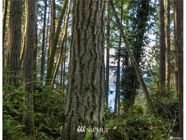 22732 Southwest Carey Road Vashon, WA 98070 - Photo 5 of 16