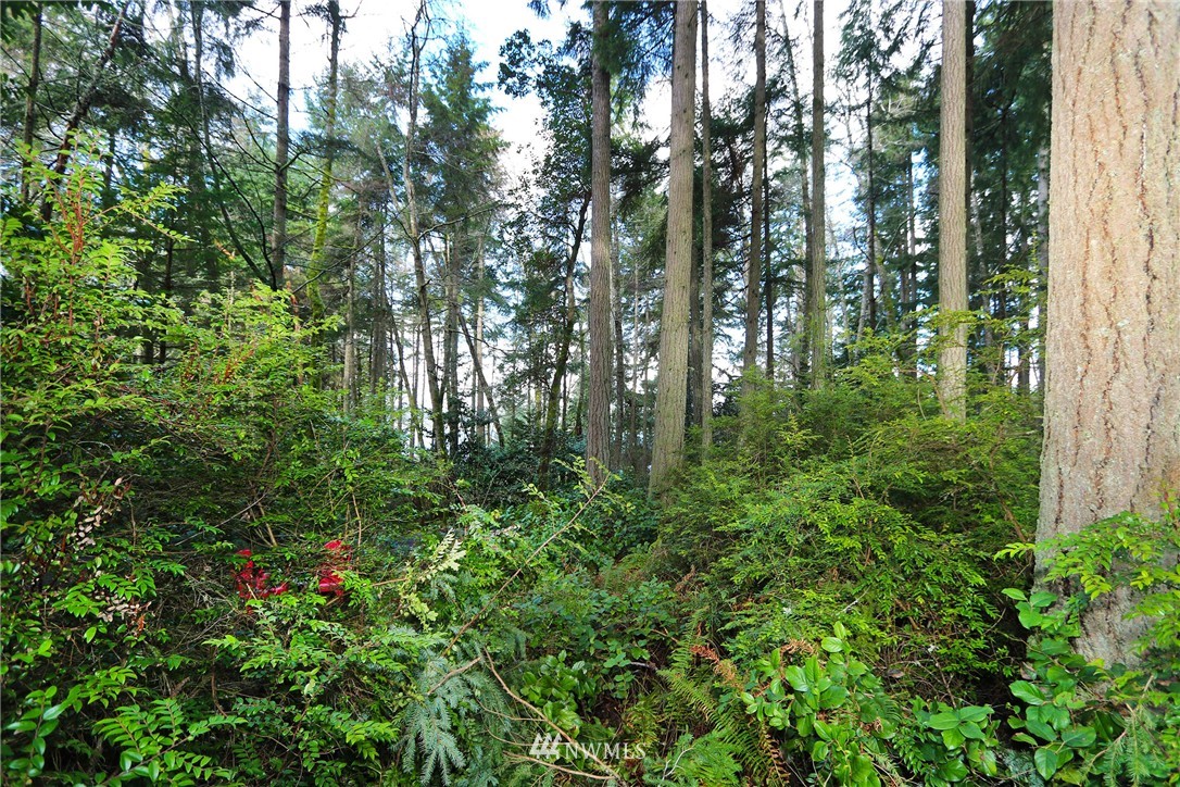 22732 Southwest Carey Road Vashon, WA 98070 - Photo 8 of 16