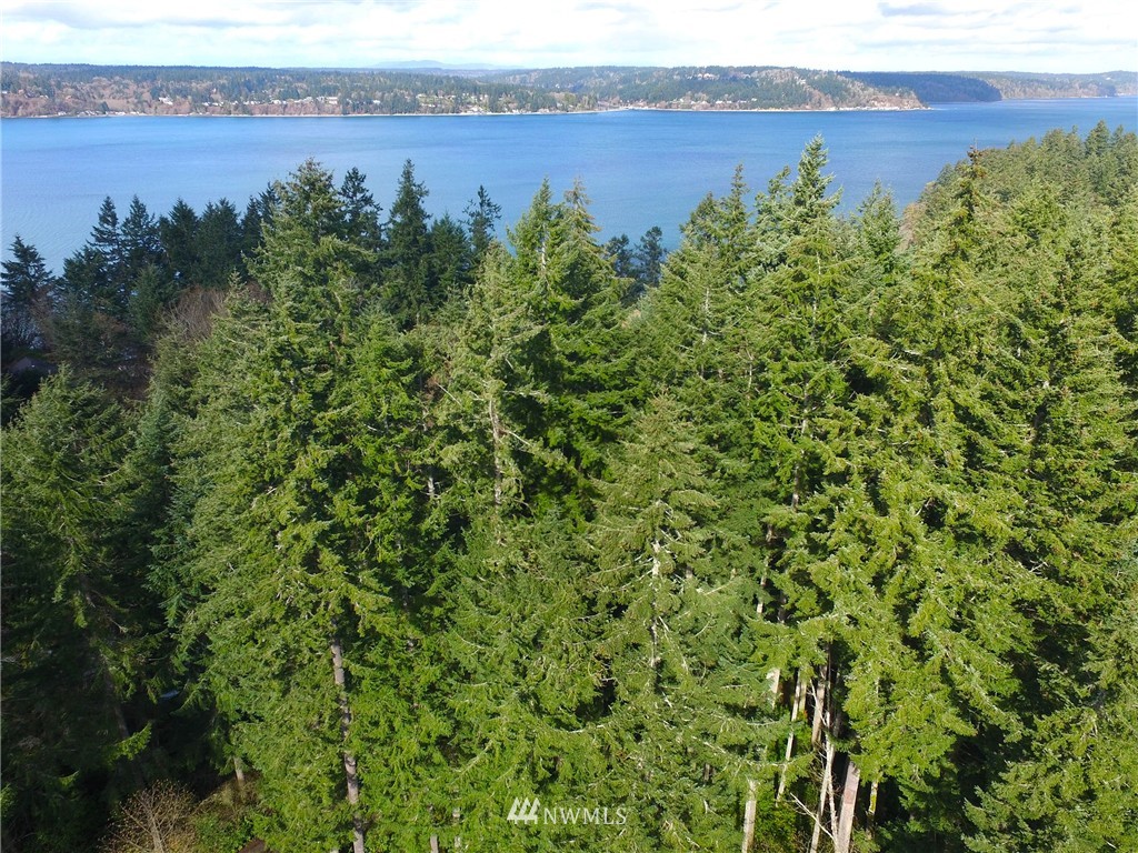 22732 Southwest Carey Road Vashon, WA 98070 - Photo 10 of 16