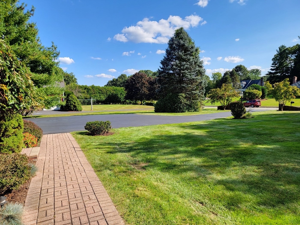 11 Femia Road Ashland, MA 01721 - Photo 4 of 42 a view of yard with swimming pool and trees in the background