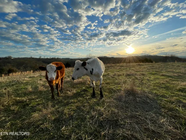 $500,000 | 223 Ulysses Daniels Lane, Harrogate, TN 37752