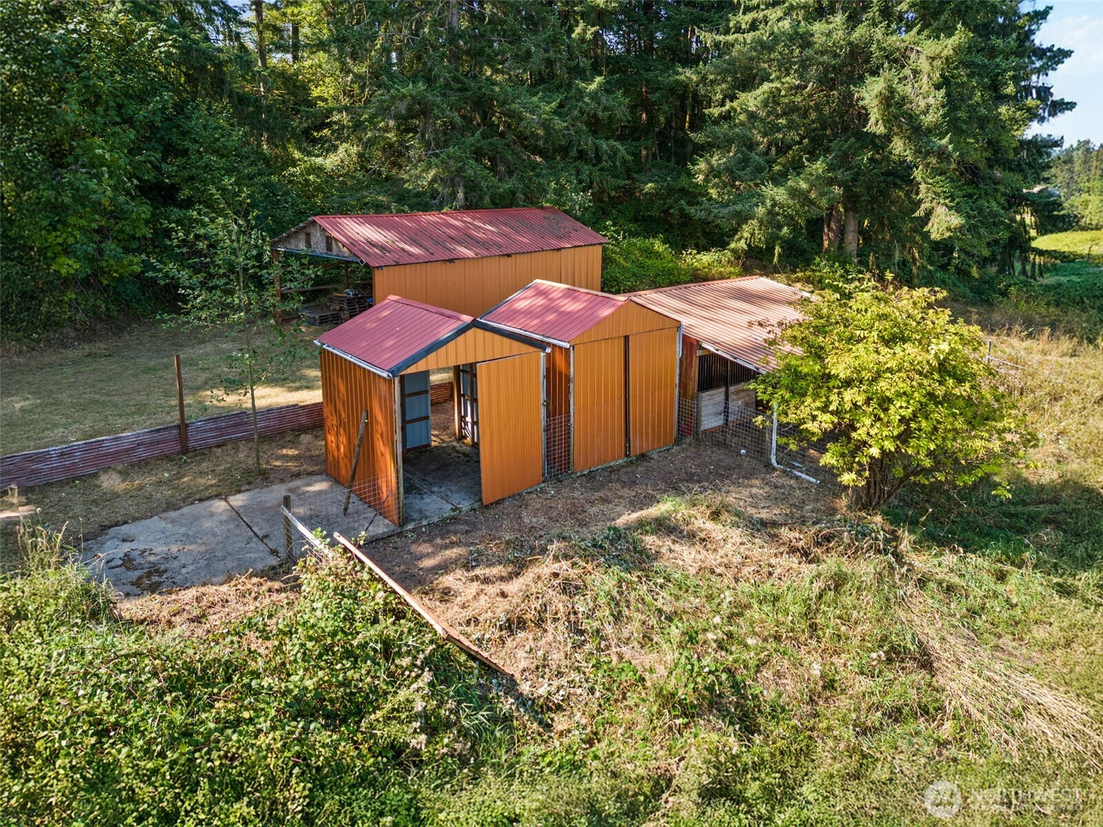 12225 Case Road Southwest Olympia, WA 98512 - Photo 39 of 40 a view of a yard with an outdoor space