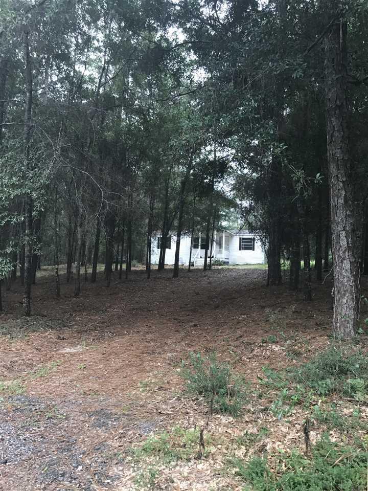 1176 Country Living Road Baker, FL 32531 - Photo 24 of 27 a view of outdoor space with lots of trees
