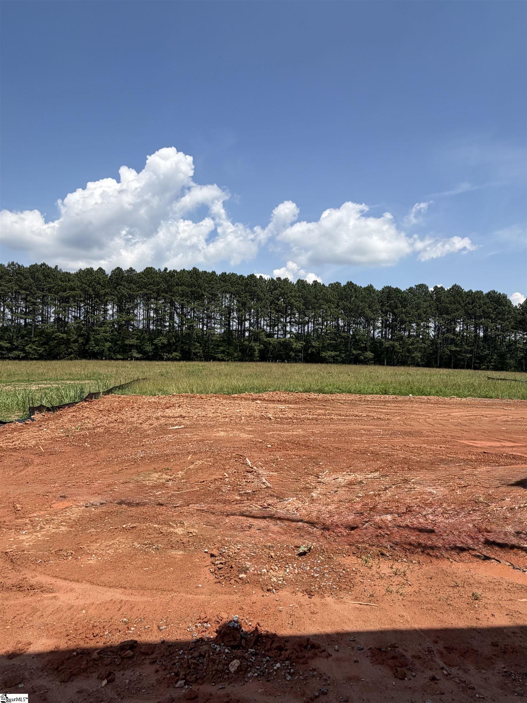 310 Richey Road, Unit SITE 3 Pelzer, SC 29669 - Photo 14 of 31