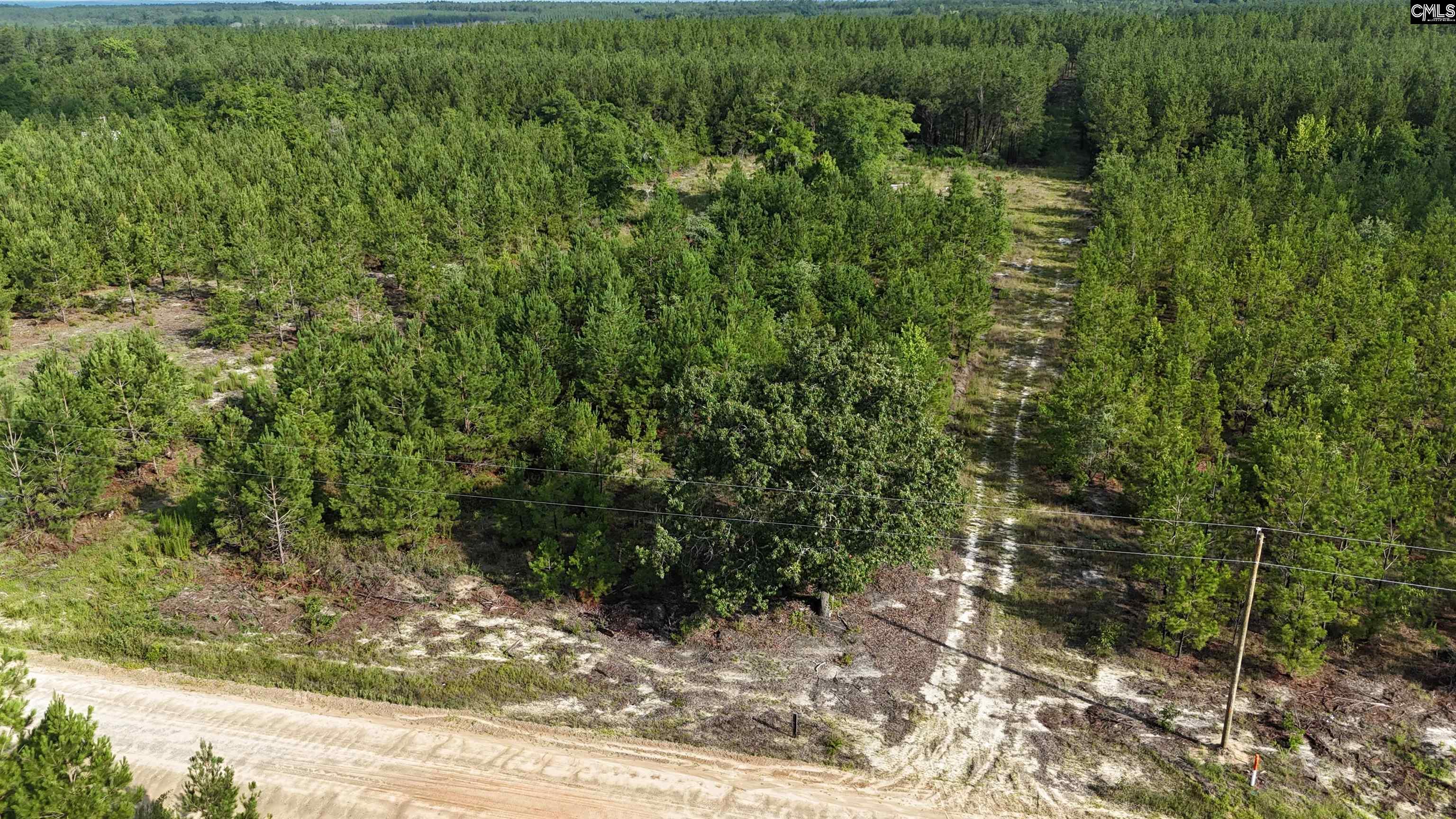 3091 Arcadia Road Bethune, SC 29009 - Photo 8 of 13