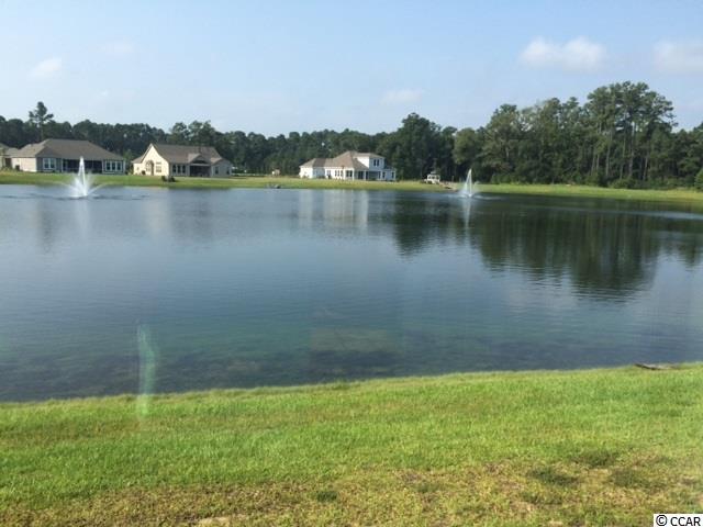299 Hyacinth Loop Murrells Inlet, SC 29576 - Photo 7 of 25 Gallery Image 7